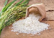 소중한 '쌀[米]'의 의미와 중요성