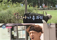 '나 혼자 산다' 쌈디 "타조, 나 좀 봐조" 즉석 랩 버스킹…혼자 여행 떠난 곳은