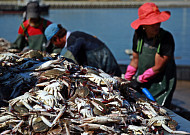 [올댓트립] 맛 따라 자연 따라…온 마음 가득 담아가는 '수확 여행'