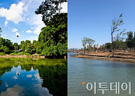 마곡 서울식물원, 싱가포르 보타닉 가든과 비교해보니…이루마 공연 등 10월 행사 풍성 "주말에 가볼까?"