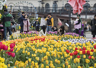 에버랜드, '튤립 축제' 16일 오픈