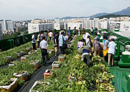 동네ㆍ아파트ㆍ학교 등 205개 소에 도시농업 텃밭 만든다