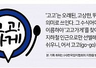 [고고가게] 인천·<b>경기</b>편② 56년 전통 ‘지동관’