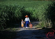 SK-II, 클리어 포 라이프 사진전 개최