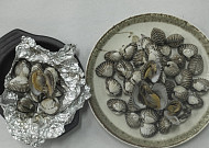 [올댓트립-겨울의 맛②] 호남은 꼬막·영남은 대구…겨울바다 주름잡네