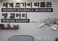 세계 조가비<b>박물관</b>의 환상적인 아름다움
