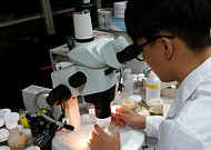 대학생 현장실습 '열정페이' 없앤다…최저임금 75% 지원