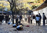 올해 첫 단풍은 이달 말 설악산에서