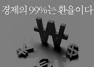 환율지식, 글로벌금융시대에 가장 소중한 자산