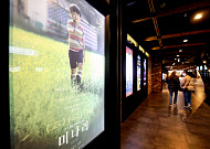 77관왕 ‘미나리’, 불법 복제 유통에 골머리