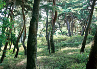 ‘유산기’(遊山記)로 본 조선 선비들의 산행 방법