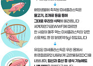 [인포그래픽] 슬기로운 쓰레기 분리배출 생활 ①폐플라스틱