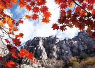 만산홍엽(滿山紅葉), <b>가을</b> 산이 부른다