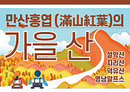 [카드뉴스] 만산홍엽 (滿山紅葉)의 <b>가을</b> 산