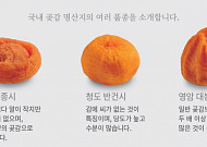 "호랑이해 설 선물은 곶감?"…롯데百 사전예약 매출 132%↑