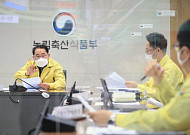 코로나 심각한데 새로운 유형 나온 조류인플루엔자까지…장기 확산 ’노심초사‘