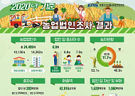 2020년 농업법인 2만4500개, 전년 대비 5%↑…정부 "부동산업 엄격 규제"