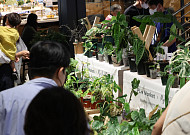 [스페셜리포트] "2000만 원 투자해 1년 새 1000만 원 손해…신재테크 시장 죽었다"