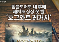 덤블도어도 내 후배…해리도 상상 못 할 ‘호그와트 레거시’ [요즘, 이거]