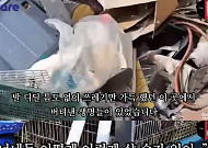 양평 주택에 수백구의 개 사체가…사상 최악의 동물 학대에 충격