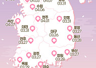 2023 벚꽃 개화시기 정리 [인포그래픽]
