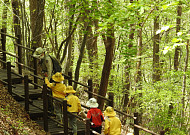 "봄을 걸어요"…꼭 가봐야 할 국립공원 봄길