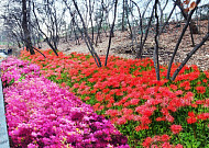 동대문구, 배봉산근린공원 화장실·배드민턴장 등 정비