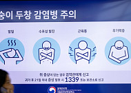 엠폭스 확진자 1주간 16명 늘어 누적 60명…전원 국내 감염 추정