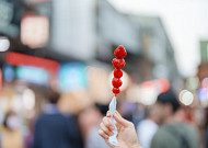 탕후루·아이돌·기업인...올해도 '달나라 국감' 예고