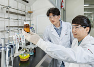 LGD-LG화학, 전량 수입하던 OLED 핵심 소재 국산화 성공