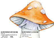 [자본시장의 公敵]①독버섯보다 더 질긴 불공정 세력