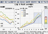 “팬데믹·전쟁 등으로 비용압력 누증…공급충격 겹쳐 디스인플레이션 더딜수도”