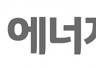 LG에너지솔루션, 차세대 리튬메탈배터리 기술 확보