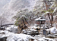 "새해 자연의 정기를 받아요"…설 연휴 꼭 가봐야 할 국립공원 TOP6