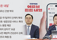 與 “경로당 점심 매일 제공…간병비 세액공제·재택의료 도입”