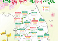 봄꽃 가장 먼저 피는 '생강나무' 6일부터 개화 시작