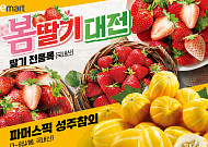 ‘천정부지’ 과일값에…대형마트 3사, 물가잡기 총력전