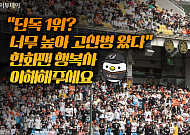 “단독 1위? 너무 높아 고산병 왔다” 한화팬 행복사 이해해주세요 [요즘, 이거]