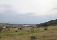 고창 '고인돌ㆍ운곡습지', 4월 '이달의 생태관광지' 선정