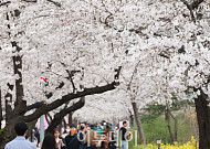 낮  최고 23도, 밤부터 비...미세먼지 주의 [날씨]