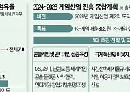 "글로벌 점유율 5%" 콘솔 육성 나선 정부 …판호 발급 위해 장관이 나선다