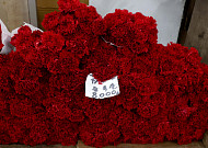 어버이날 카네이션 비상?…팔 상자가 없다