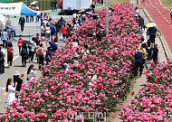 장미 보고 미식 즐기고…서울 곳곳 ‘마실’ 떠나볼까