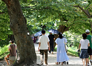 토요일 낮 최고 32도⋯경상권 초여름 더위 [날씨]