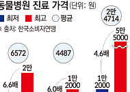 이달 펫보험 비교 서비스 오픈…활성화 열쇠는 '의료 표준화'