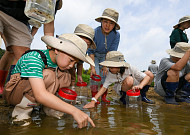 현대모비스, 충북 미호강에 멸종위기종 미호종개 3000마리 방류