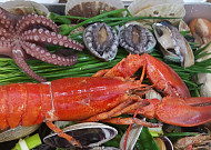 '2TV 생생정보' 오늘방송맛집- 대결 맛대맛, 해물전골·물회 맛집 '해○○○'