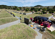 성묘하다 조상 곁으로⋯벌 쏘임·뱀 물림 대처 요령