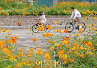 토요일 낮 최고 30도 '포근'⋯최저 12도 '일교차 주의' [날씨]
