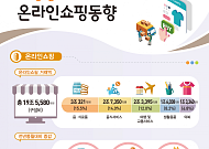 8월 온라인쇼핑 증가율 1.9% '역대 최저'…티메프 사태에 e쿠폰 '반토막'